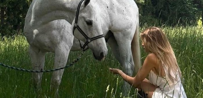 Деловой этикет видеоконференций: правила зумеров