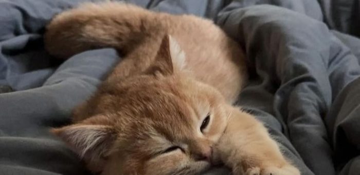 4 причины, почему обучение сотрудников не приносит результатов