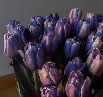 HR-стратегия 2025: От данных к действию — как построить систему, которая держит таланты в эпоху ИИ и гибридной реальности