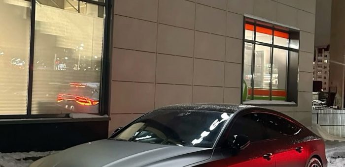 Антихрупкость: как искать опору в хаосе