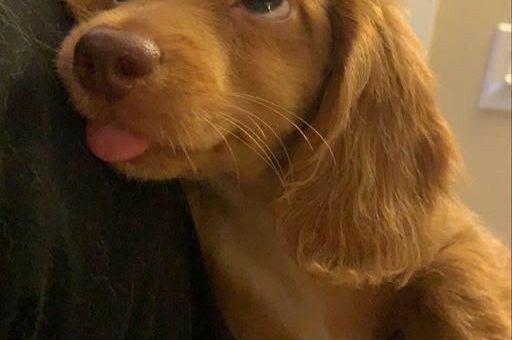 Как ИИ изменит организационный дизайн: 8 трендов