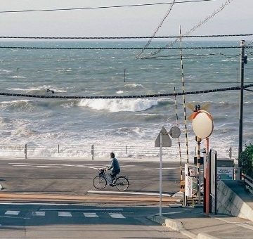 Как обучать сотрудников работе с искусственным интеллектом