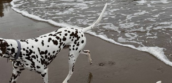 Система важнее героизма, или Как управлять бизнесом, когда цена ошибки высока