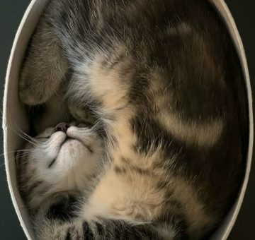 Обучение через ошибки: почему «провалы» сотрудников ценнее теории