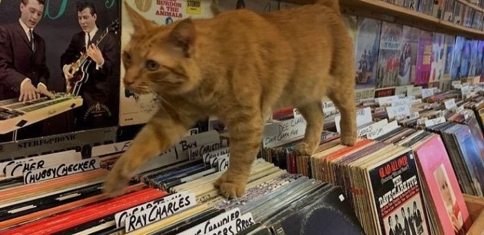 Сила простых вопросов: как избавиться от неэффективных шаблонов в работе