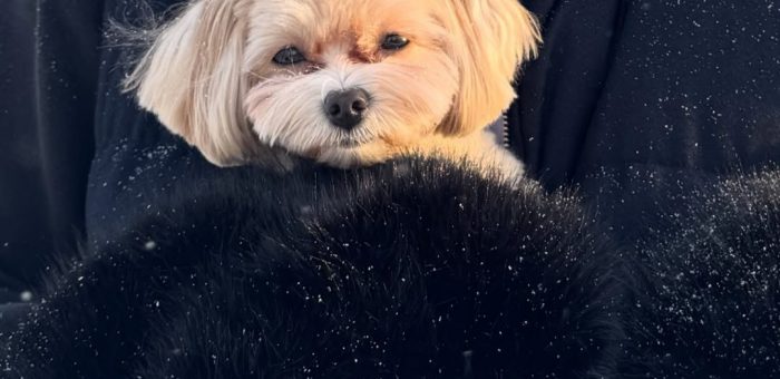 Почему кадровый резерв в компаниях есть, а результата нет