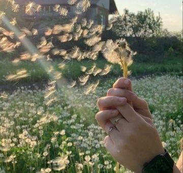 Карьерный квест для руководителя: как расти на авторитете, а не на власти