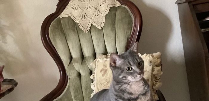 Обучение не оправдало ожиданий: как исправить ситуацию