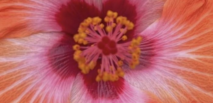 Почему усиление контроля лишает бизнес управляемости