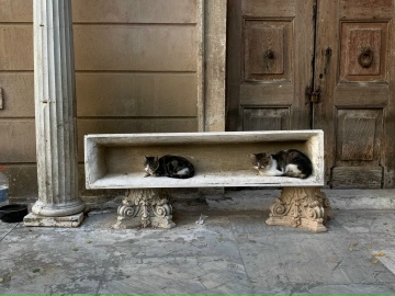 Стресс-менеджмент: как не сгореть на пути к карьерным целям