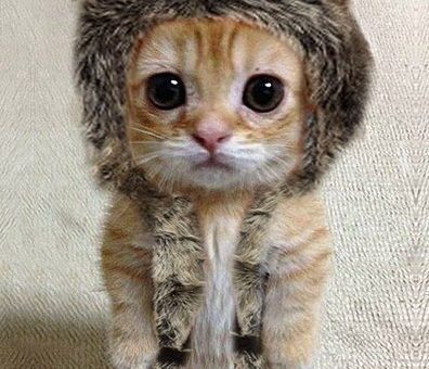 Топ-менеджер в поиске работы: что изменилось на рынке труда