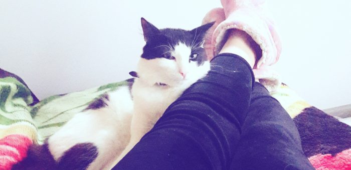 Как выглядит подлинная человекоцентричность в образовании и управлении