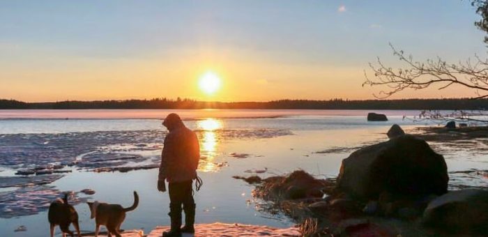 Как провести онбординг ИИ-модели в корпоративную систему