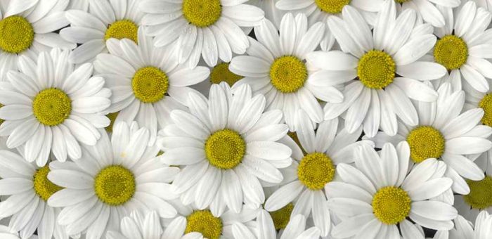 Пять убеждений, которые истощают даже сильного лидера